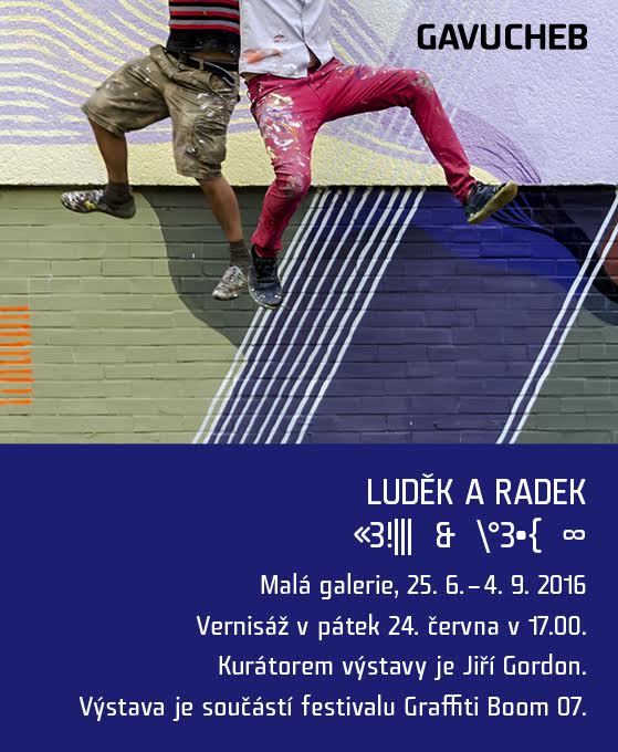 25. 6 – 4. 9. 2016, Malá galerie