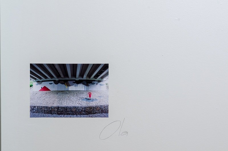 25. 6 – 4. 9. 2016, Malá galerie